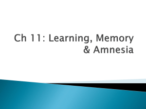 Learning, Memory & Amnesia