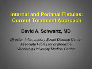 Internal and Perianal Fistulas - Advances in Inflammatory Bowel