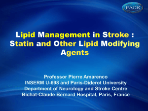 Addressing the stroke crisis in Asia (PPT 2.5MB)