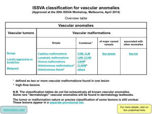 ISSVA_classification_2014_final - Klippel Trenaunay (KT) Support
