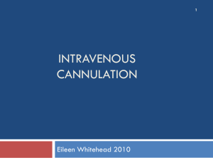 intravenous cannulation - Department of Undergraduate Education