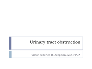 Urinary tract obstruction