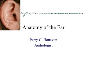 Anatomy of the Ear