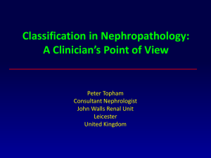Classification in Nephropathology: A Clinician`s Point of View (PPT