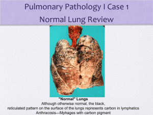 Pulmonary Path I