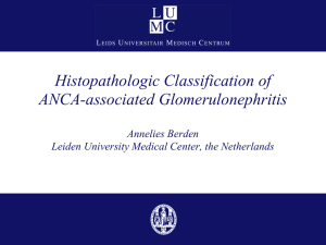Histopathologic Classification of ANCA