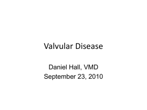 Chronic Valvular Disease
