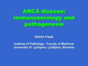 ANCA disease: immunoserology and pathogenesis (PPT / 4418 KB)
