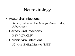 Acute viral infections - Division of Neuropathology