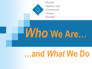 Student Nurses WOC Nurse Presentation (2013)