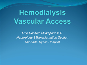 Chronic hemodialysis vascular access
