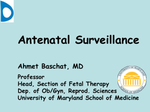 Antenatal Surveillance