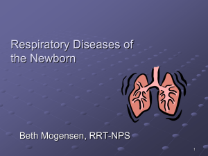 The Respiratory System and Acute Causes of Distress in the Newborn