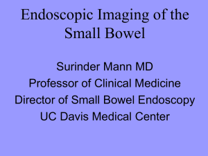 Endoscopic Imaging of the Small Bowel