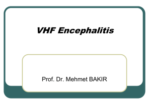 Rift Valley fever virus