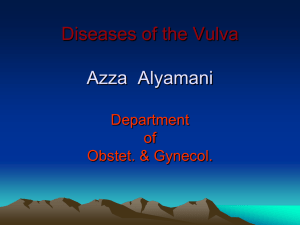 Diseases-Of-The-Vulva-DrAZ