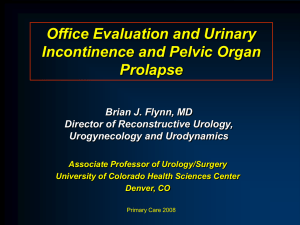 Flynn 11_18_08 - University of Colorado Denver