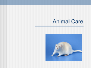 Lab animal Care - eweb.furman.edu