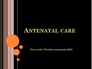 11 Antenatal care 9.57 ppt 07 พฤษภาคม 2556