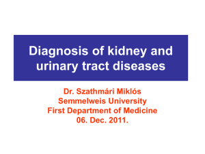 Diagnosis of kidney and urinary tract diseases