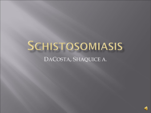 SCHISTOSOMIASIS - Course Websites