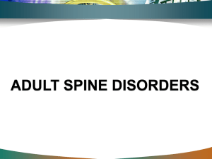 Adult Spine