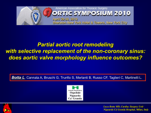 Partial Aortic Root Remodeling with Selective Replacement of the