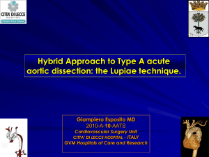 Hybrid Approach to Type A Acute Aortic Dissection
