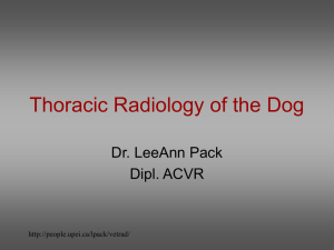 Thoracic Radiology of the Dog