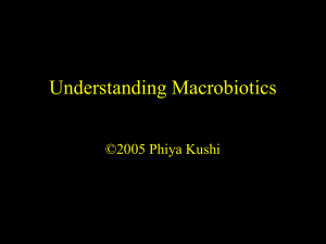 Understanding Macrobiotics