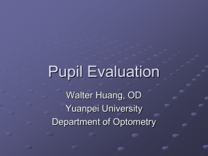 Pupil Evaluation