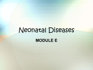Module E - Neonatal Diseases - Macomb