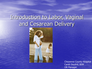Introduction to Labor, Vaginal and Cesarean Delivery