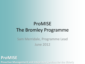ProMiSE - Bromley Partnerships