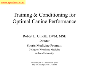 Training & Conditioning for Optimal Canine