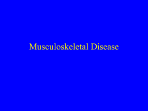 Musculoskeletal Disease - MHE Research Foundation