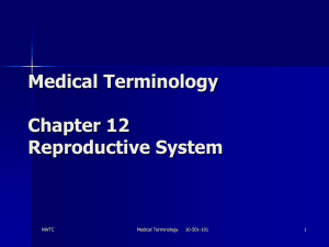 Reproductive System Chapter Nine Medical Terminology