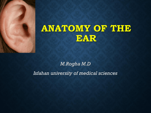 Meatus acusticus internus OUTER EAR