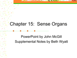 Chapter 15: Sense Organs
