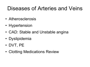 06-CV3-arteries