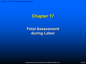 Chapter 17 Fetal Assessment during Labor