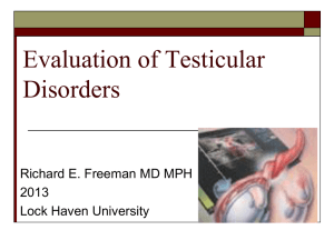 Testicular Pain & Testicular Masses