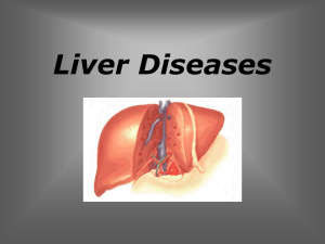 PZ - Focal Liver Diseases