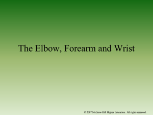 Chapter 23: The Elbow