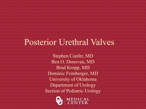 Posterior Urethral Valves