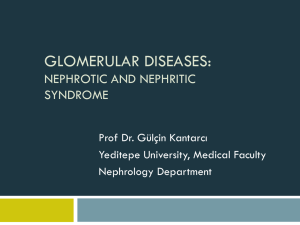 Nephrotic and nephritic Syndrome 2014