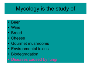 10.Mycology