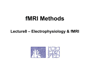 Electrophysiology & fMRI
