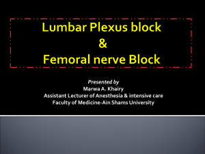 The femoral nerve block