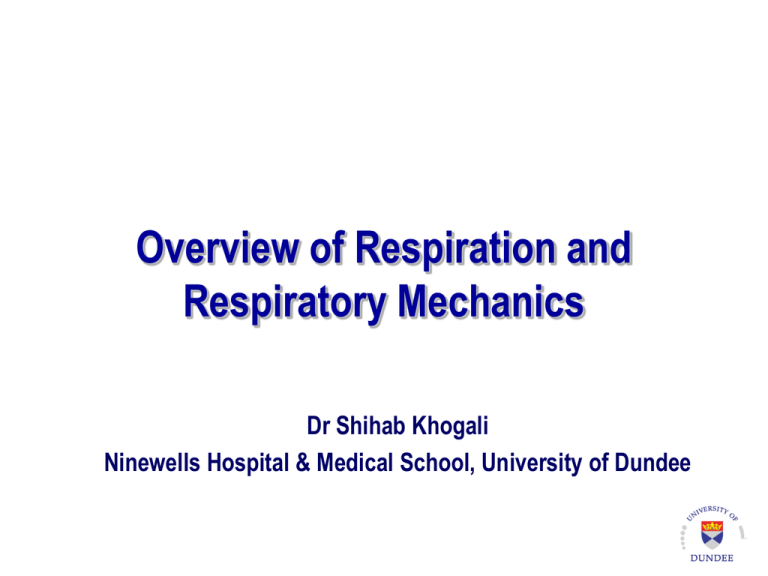 Respiratory Physiology Lecture